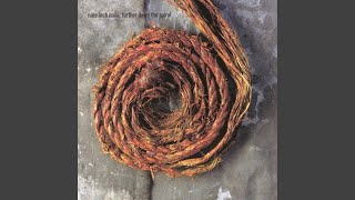 The Beauty Of Being Numb