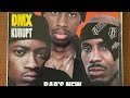 DMX Big Pun Cam Ron 8ball The Source Magazine Collection S Special Page Fold Out Cover 1998