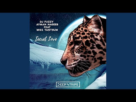 Secret Love (Original Mix)