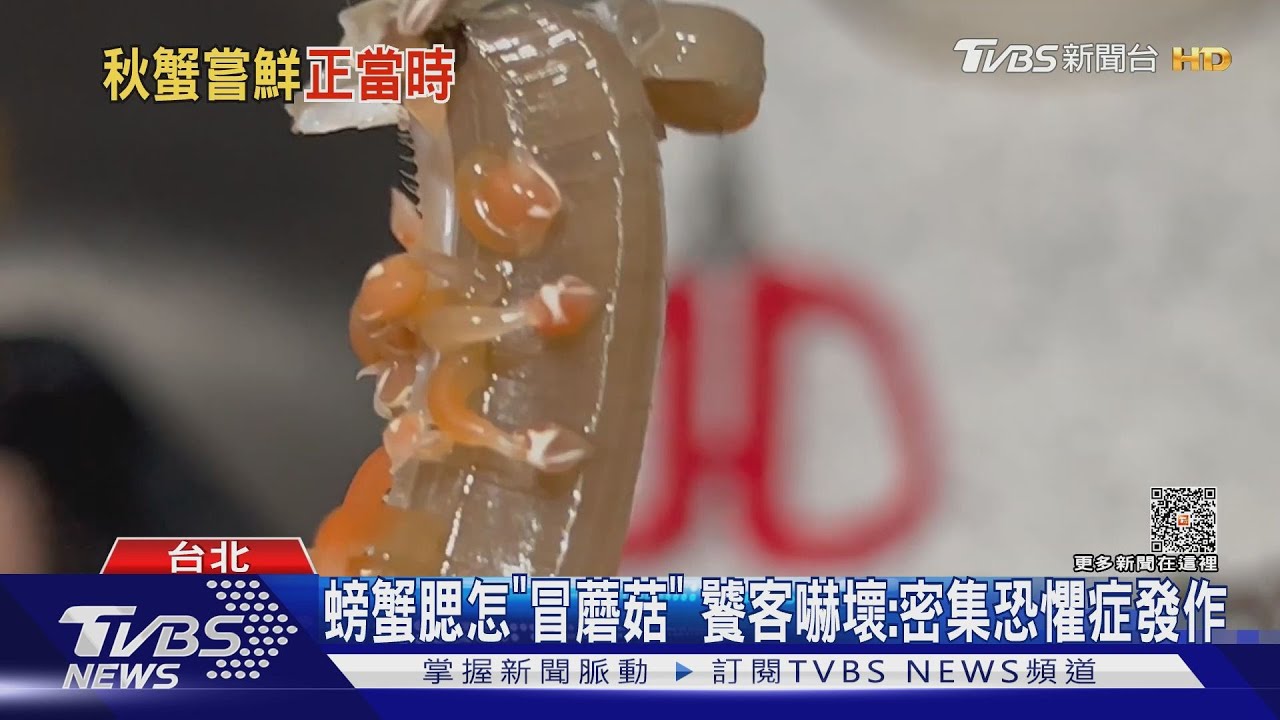 螃蟹驚見「長一堆小蘑菇」!廚師解惑:是藤壺