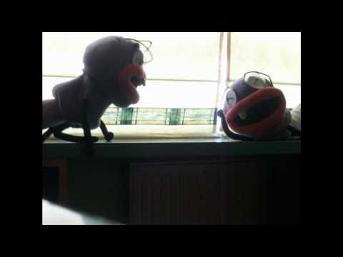 Cortometraje de Trancas y Barrancas