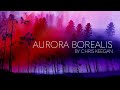 Aurora Borealis by Chris Keegan in Blender eevee animation.