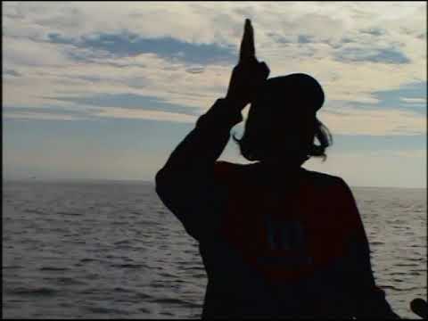 AARON RUMORE - Magnolia #video