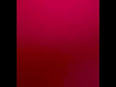 Radical Posture - “Electrobiology”.   (2009)