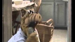 ALF -old time rock n roll