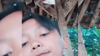 Download lagu Viral status wa mp3
