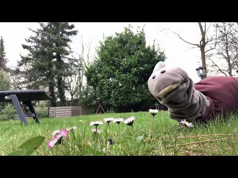 Schneckenzeit: Hallo Mathilda!