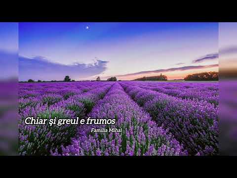Familia Mihai - Chiar şi greul e frumos 🕊