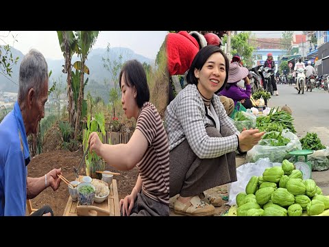 Bumper Chayote Season: Buy Three Egg-Laying Chickens - Live Happily With Your Grandfather