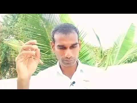 4 March Tamil murli with full explanation - BK Saravana Kumar