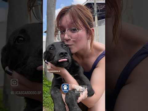 VOCÊS LEMBRAM DESSE RESGATE?crueldade que fizeram com esse cachorrinho 😔#pets #saopaulo  #petlover