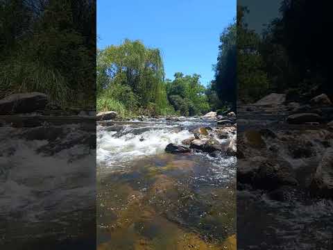 Villa Los Aromos, Córdoba Argentina 🇦🇷 #Slowwalking #Naturesounds #travel