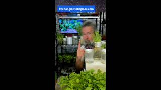 GROW FOOD FAST