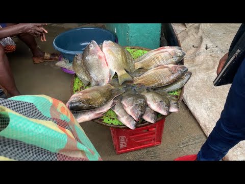See how fish are preserved in their habitat ( Tour to EPE the biggest fish market in West Africa)