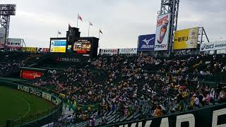 2014甲子園球場賽前