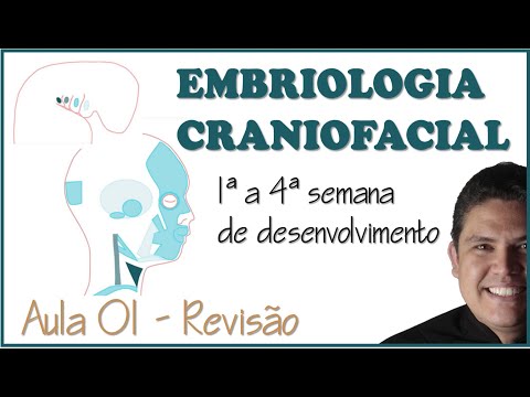 EMBRIOLOGIA - REVISÃO DA 1ª A 4ª SEMANA DE DESENVOLVIMENTO EMBRIONÁRIO