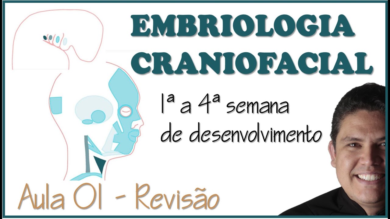 EMBRIOLOGIA - REVISÃO DA 1ª A 4ª SEMANA DE DESENVOLVIMENTO EMBRIONÁRIO