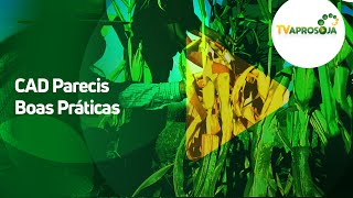 Plantas de cobertura e rotação de culturas