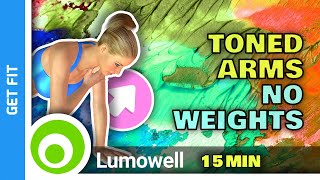 Tone Your Arms Workout - At Home No Weights