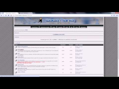 presentation-wawa-mania.avi