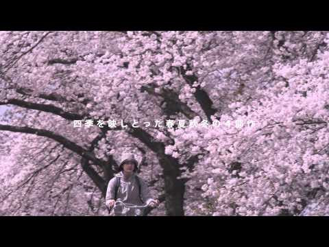 afbeelding Little Forest: Winter/Spring