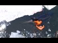 Ice-Trapped Orcas Rescued Off Coast of Russia Ice-Trapped Orcas Rescued Off Coast of Russia