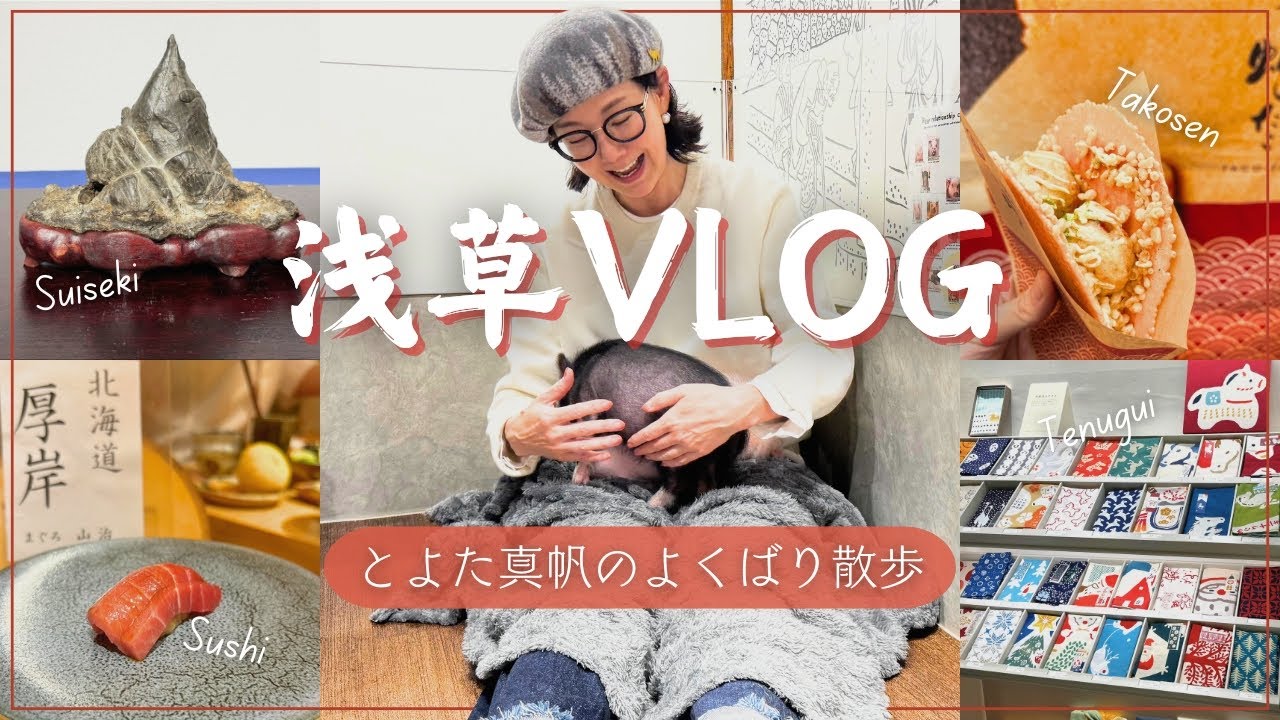 【浅草Vlog】趣味の水石展、可愛い豚カフェ、絶品隠れ家寿司！とよた真帆の浅草よくばり散歩