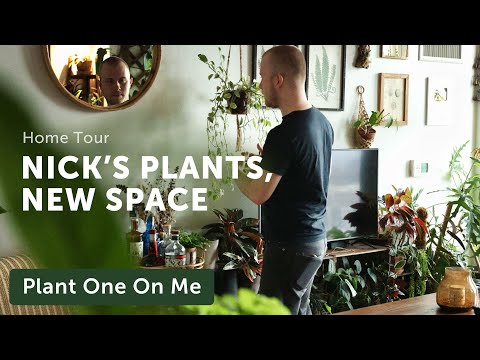 New Apartment and HOUSEPLANT HOME TOUR with Nick Pileggi — Ep. 275