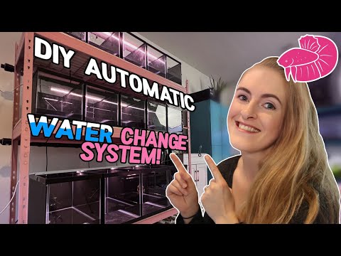 DIY Automatic Water Change System for my Betta Fish Projects - Plumbing Walkthrough!