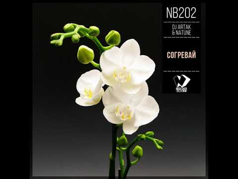 Dj Artak & Natune - Согревай (Original Mix)