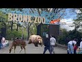 New York Bronx Zoo Walking Tour 4K Bronxzoo Newyorkcitywalkingtour Bronx Walktour