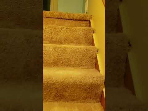 110 Dean St, Unit 1, Taunton - condo