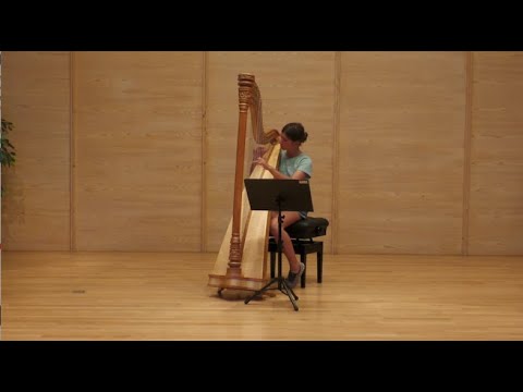 Musikschule Kempten: die Harfe - Instrumentenvorstellung