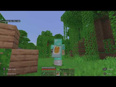 Costruiamo la casa degli ospiti