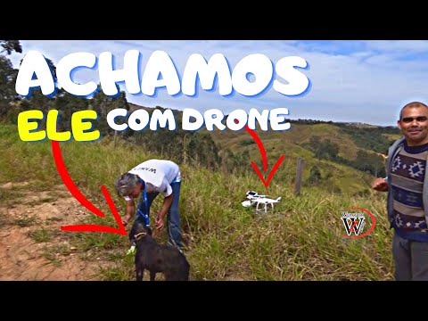 Vídeo Emocionante equipe Wanzam Drone Resgata Cachorro abandonado para Morrer