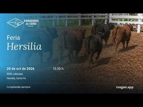 Feria Hersilia | Hersilia, Santa Fe