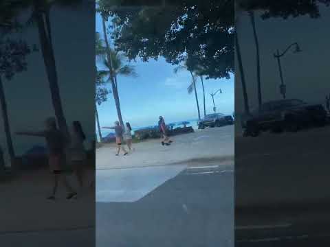 One of the biggest trees in Wakiki so massive 👀 #hawaii follow