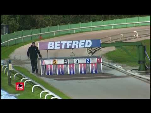 The BGBF/Nottingham British Breeders Stakes - Ht 3 - Down To The Felt