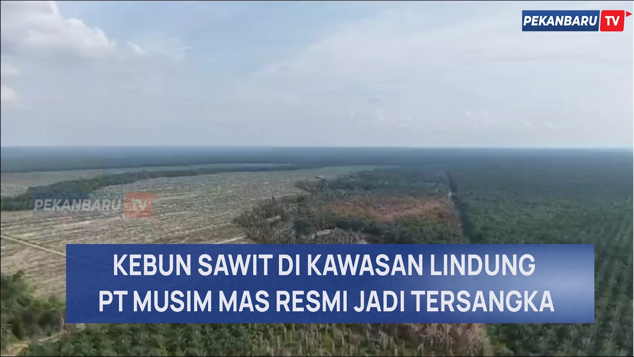 Polda Riau Tetapkan PT Musim Mas Tersangka Kasus Dugaan Kejahatan Lingkungan