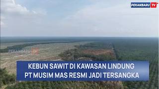 Polda Riau Tetapkan PT Musim Mas Tersangka Kasus Dugaan Kejahatan Lingkungan