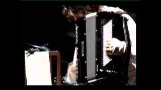Figaro - G. Rossini: Largo al Factotum Barbiere di Siviglia Marco Lo Russo in accordion solo
