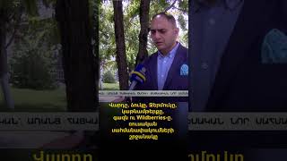 Վարդը, ձուկը, Ջերմուկը, կաթնամթերքը, գազն ու Wildberries-ը. ռուսական սահմանափակումների շրջանակը