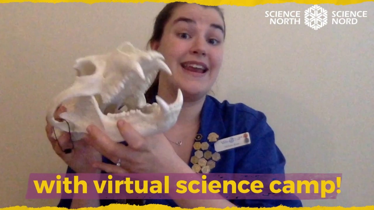 Summer Science @ Home!