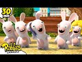 Hello This Is Rabbids RABBIDS INVASION 30 Min New Compilation Cartoon For Kids