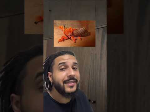 Are moths poisonous and dangerous? | Biomesquita