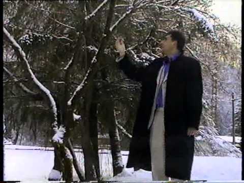 BUJOREL TULEA DE LA VARFURI CATRE BRAD