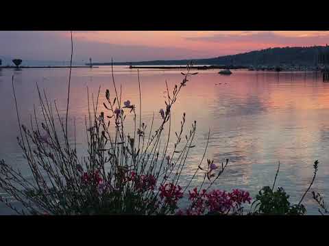 Dawn at Geneva’s Bain’s des Paquis with Swiss vocalist Christian Zehnder