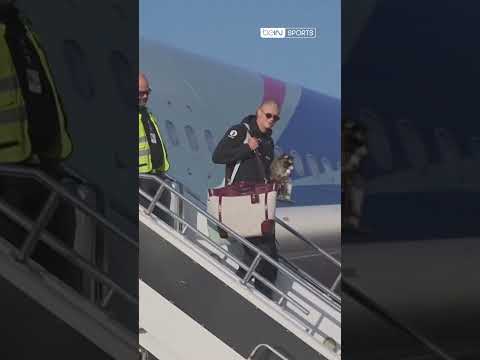 😭 Erling Haaland est revenu de la Coupe du Monde... avec un raton laveur 🦝 !
