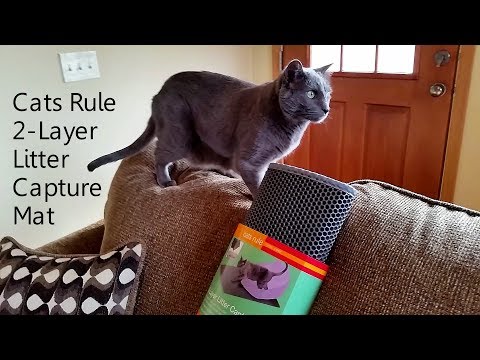 Cats Rule 2-Layer Litter Capture Mat Review