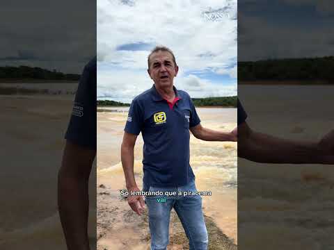 O espetáculo da piracema no “aterro dos Perrela” / represa de Três Marias, em Abaeté